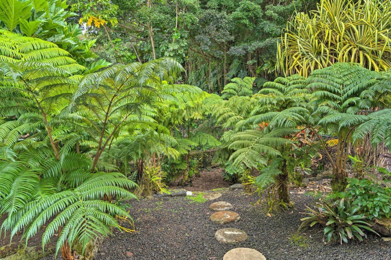 Hilo Oasis - 32 Mi To Volcanoes National Park! Экстерьер фото